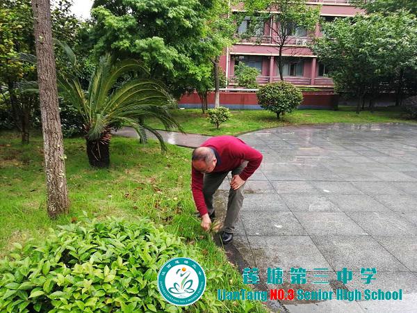 莲塘三中开展“清洁校园，拔草护绿”五一劳动节实践活动