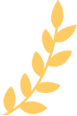 首届校长助理（学生）聘任仪式暨第一次见面会